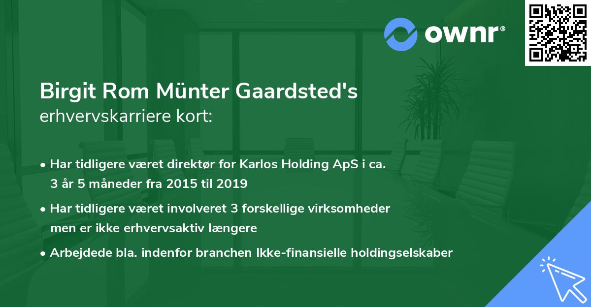 Birgit Rom Münter Gaardsted's erhvervskarriere kort