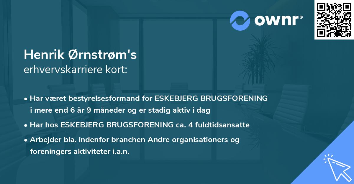 Henrik Ørnstrøm's erhvervskarriere kort