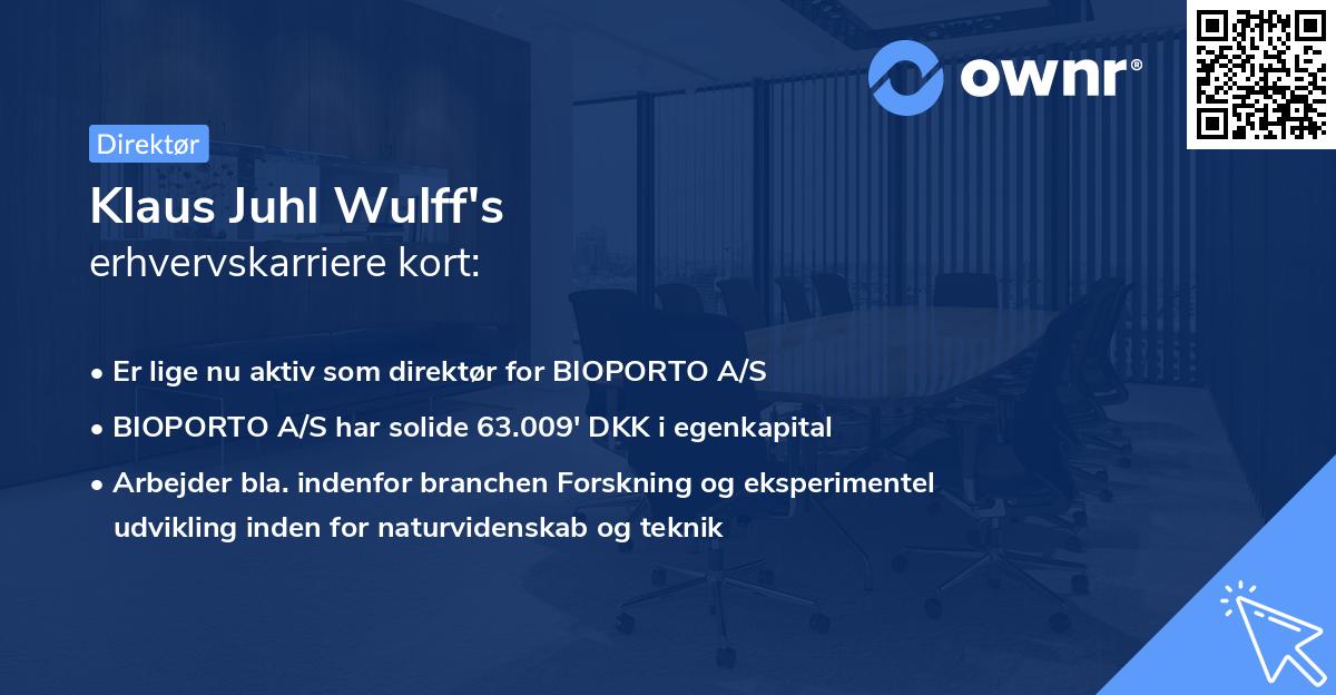 Klaus Juhl Wulff's erhvervskarriere kort