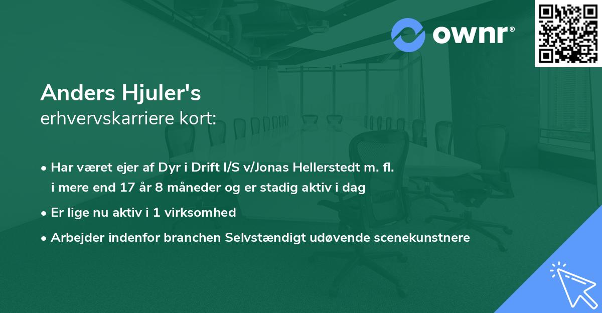 Anders Hjuler's erhvervskarriere kort