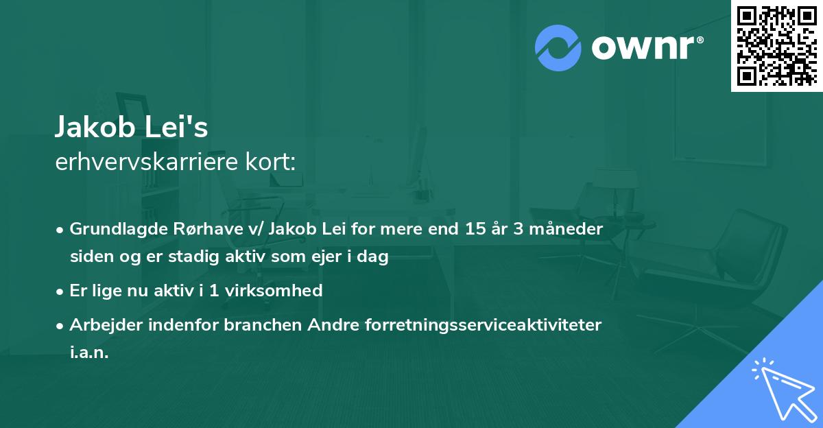 Jakob Lei's erhvervskarriere kort
