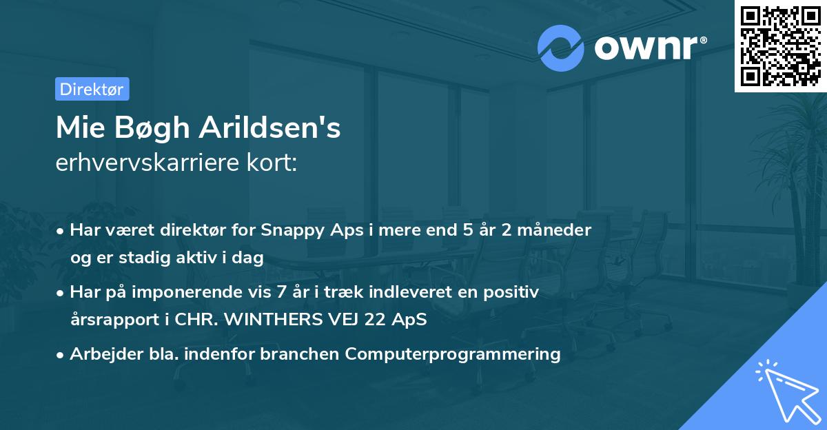 Mie Bøgh Arildsen's erhvervskarriere kort