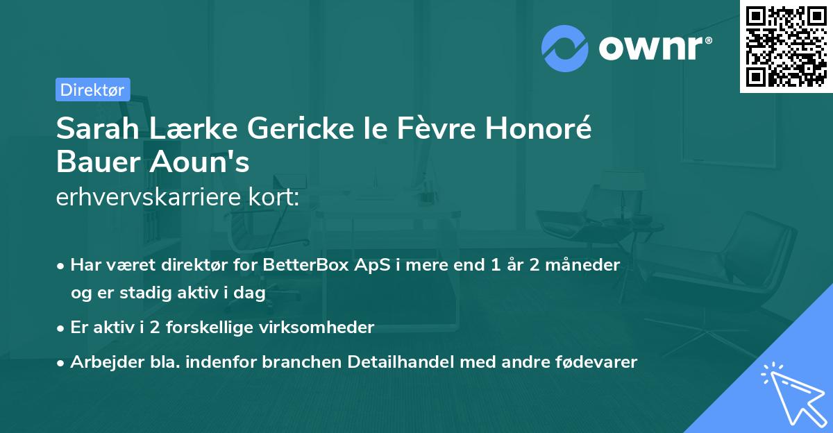 Sarah Lærke Gericke le Fèvre Honoré Bauer Aoun's erhvervskarriere kort