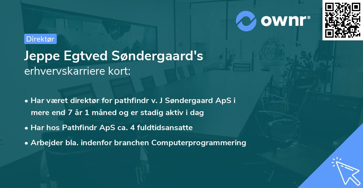 Jeppe Egtved Søndergaard's erhvervskarriere kort