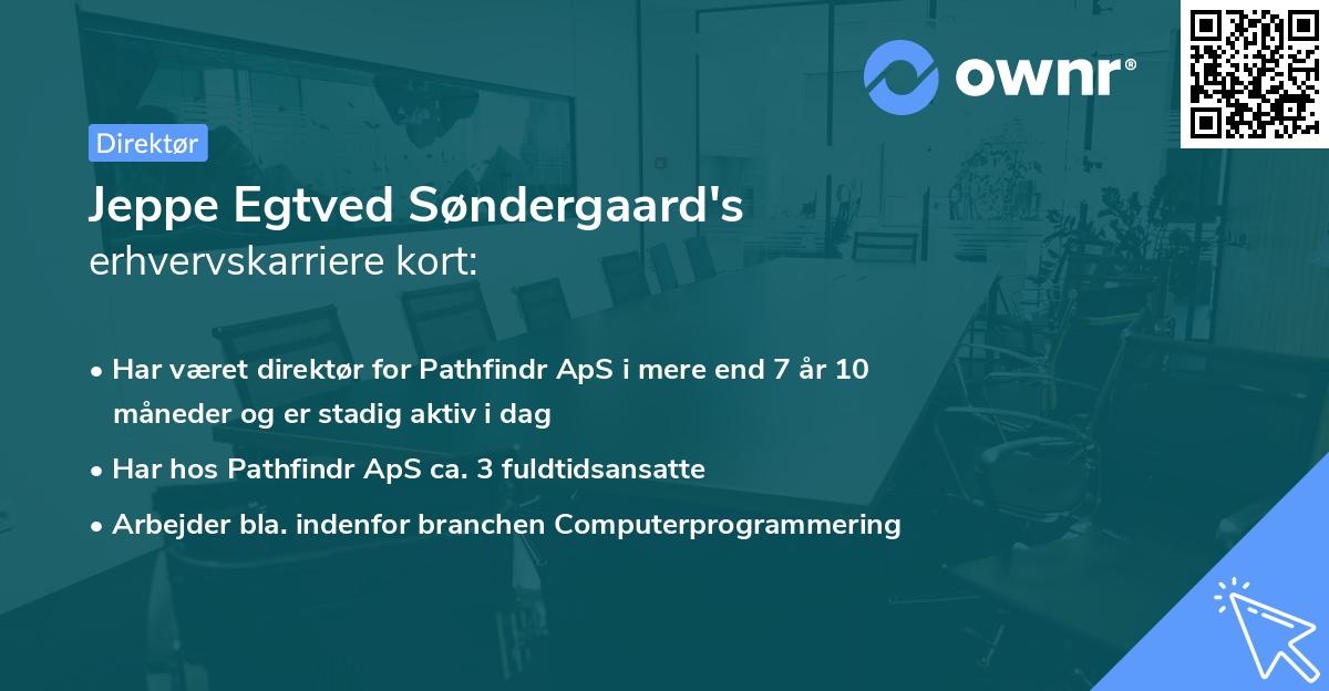 Jeppe Egtved Søndergaard's erhvervskarriere kort
