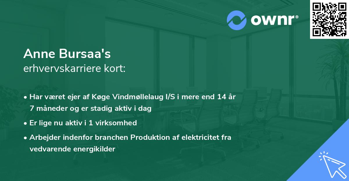 Anne Bursaa's erhvervskarriere kort