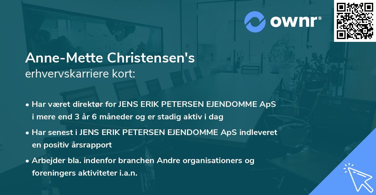 Anne-Mette Christensen's erhvervskarriere kort