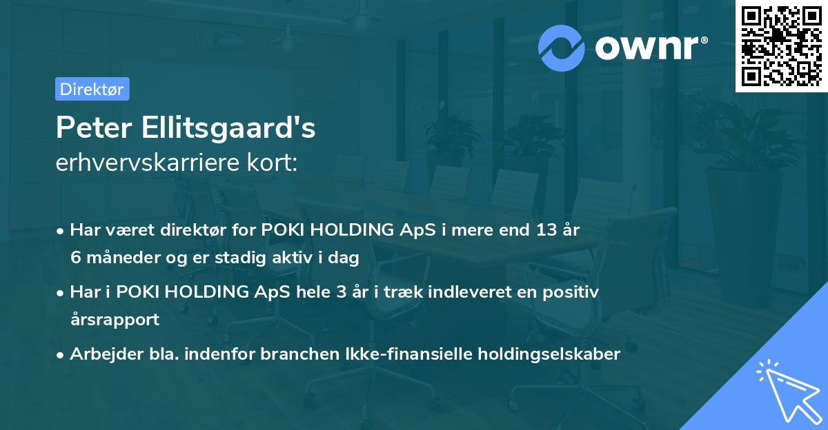 Peter Ellitsgaard's erhvervskarriere kort