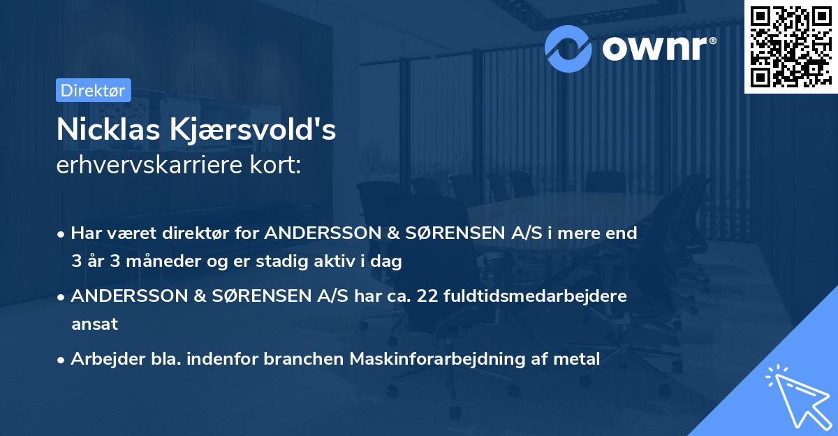 Nicklas Kjærsvold's erhvervskarriere kort