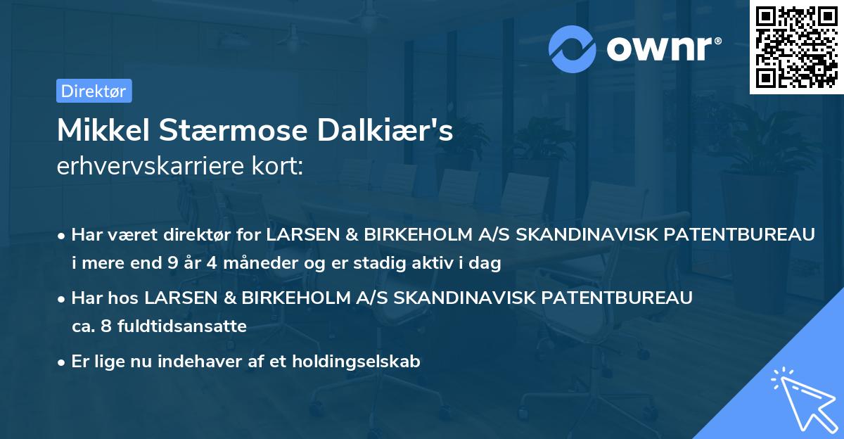 Mikkel Stærmose Dalkiær's erhvervskarriere kort