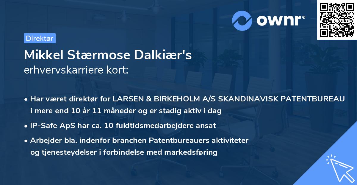 Mikkel Stærmose Dalkiær's erhvervskarriere kort