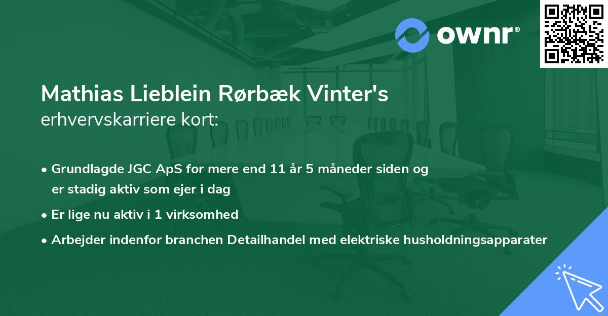 Mathias Lieblein Rørbæk Vinter's erhvervskarriere kort