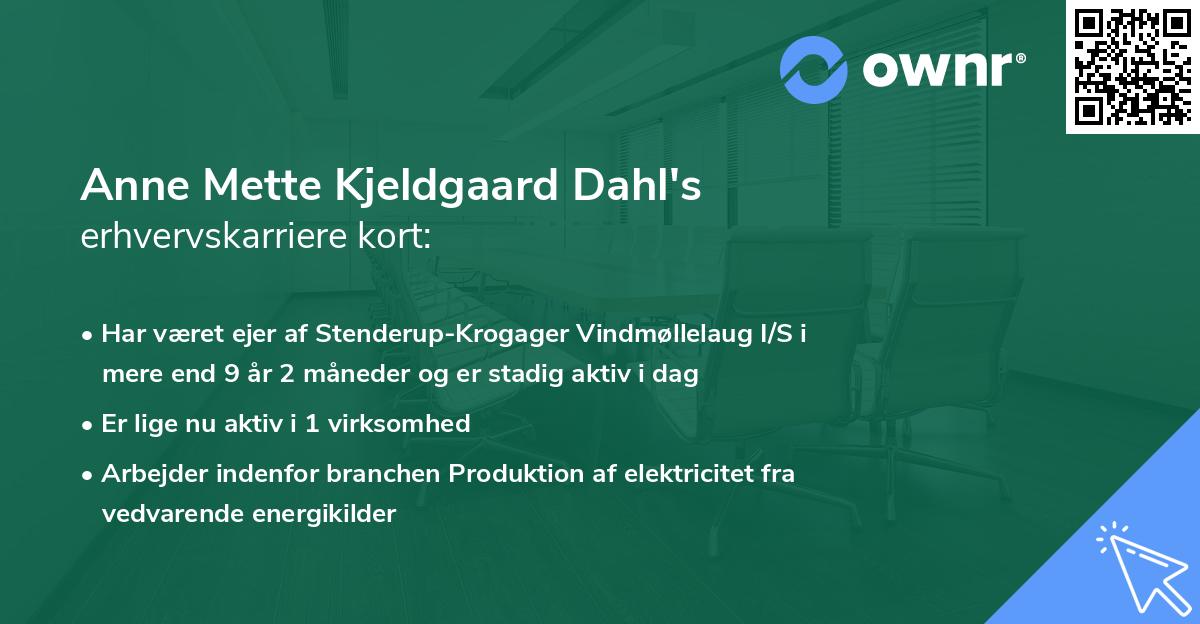 Anne Mette Kjeldgaard Dahl's erhvervskarriere kort
