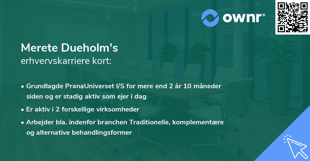 Merete Dueholm's erhvervskarriere kort