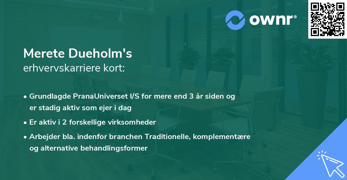 Merete Dueholm's erhvervskarriere kort