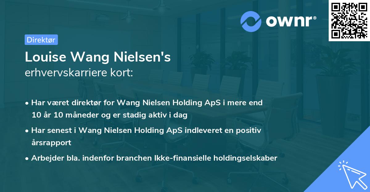 Louise Wang Nielsen's erhvervskarriere kort