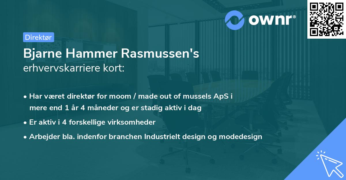 Bjarne Hammer Rasmussen's erhvervskarriere kort