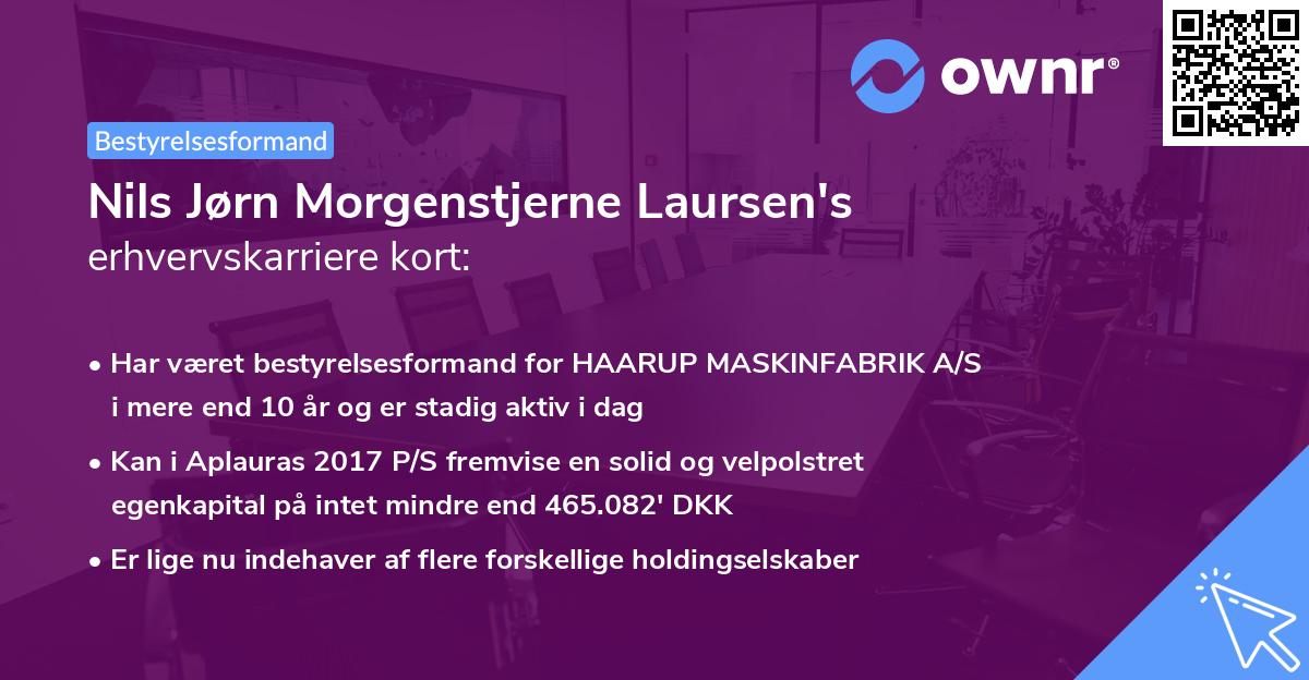 Nils Jørn Morgenstjerne Laursen's erhvervskarriere kort