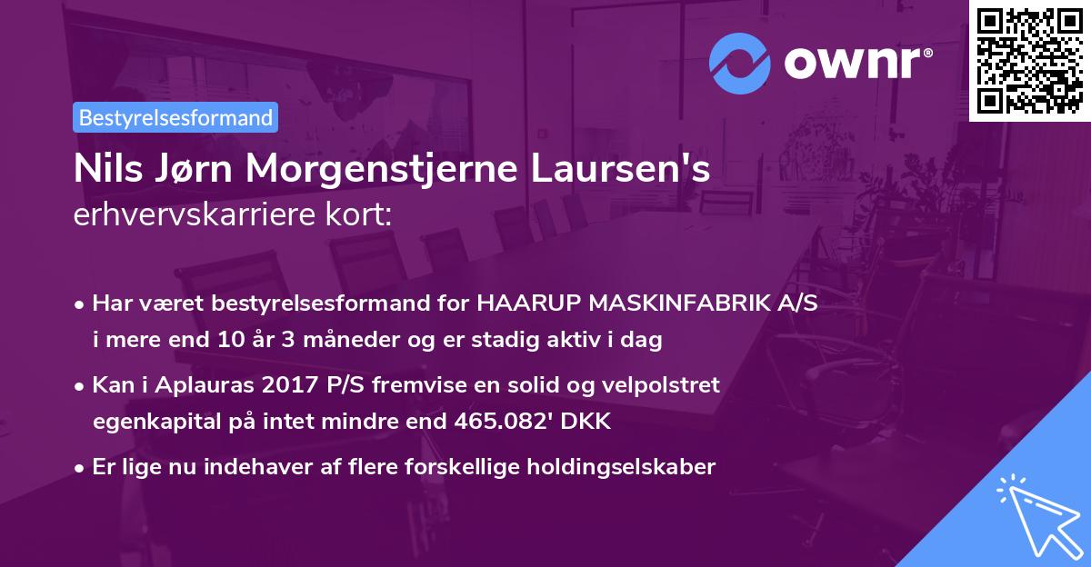 Nils Jørn Morgenstjerne Laursen's erhvervskarriere kort