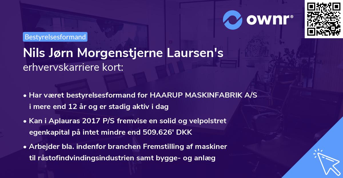 Nils Jørn Morgenstjerne Laursen's erhvervskarriere kort