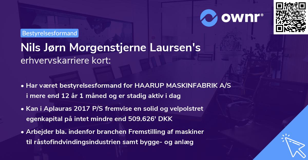 Nils Jørn Morgenstjerne Laursen's erhvervskarriere kort