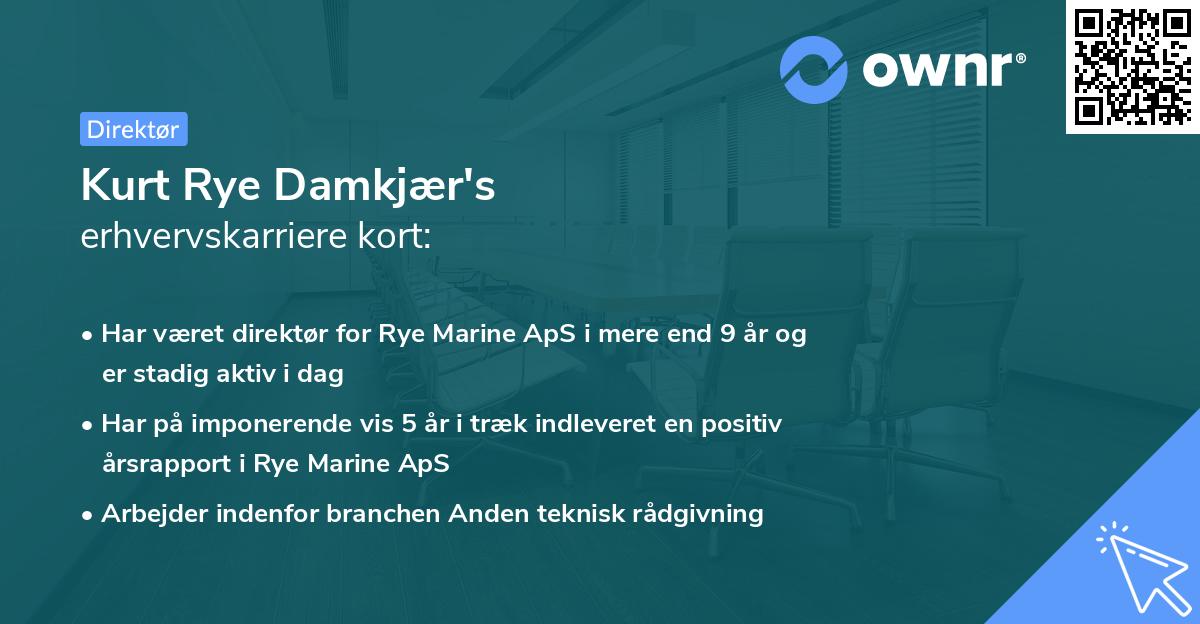 Kurt Rye Damkjær's erhvervskarriere kort