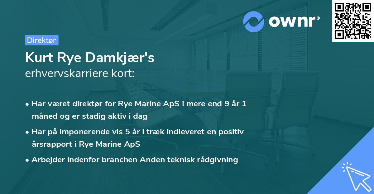 Kurt Rye Damkjær's erhvervskarriere kort