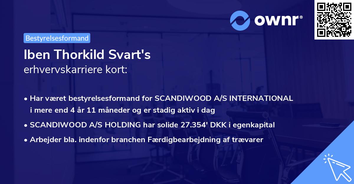 Iben Thorkild Svart's erhvervskarriere kort