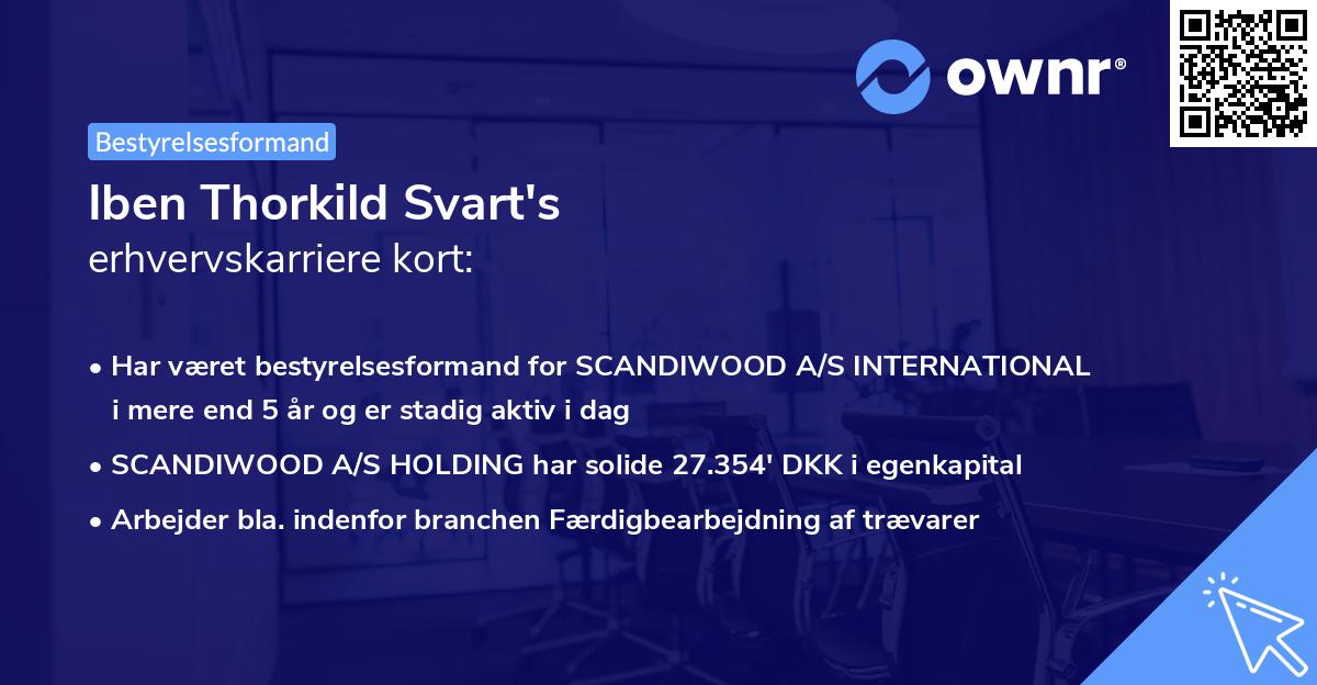 Iben Thorkild Svart's erhvervskarriere kort