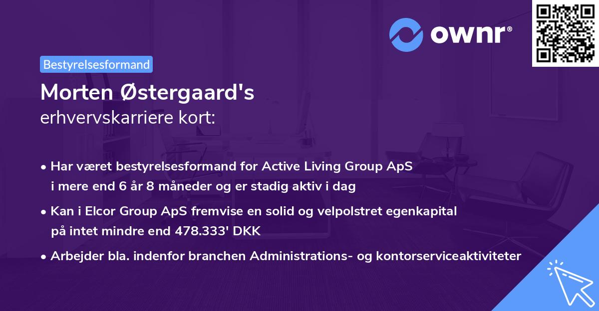 Morten Østergaard's erhvervskarriere kort