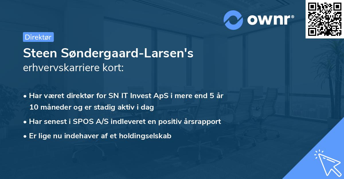 Steen Søndergaard-Larsen's erhvervskarriere kort