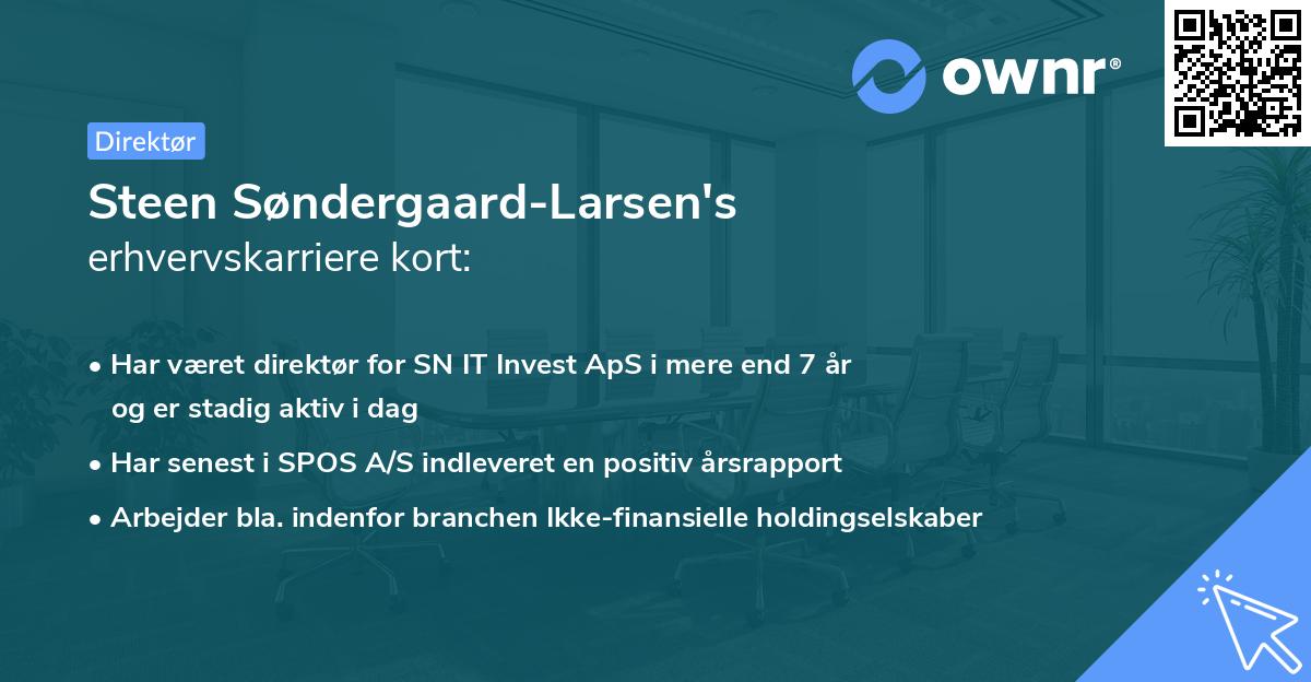 Steen Søndergaard-Larsen's erhvervskarriere kort