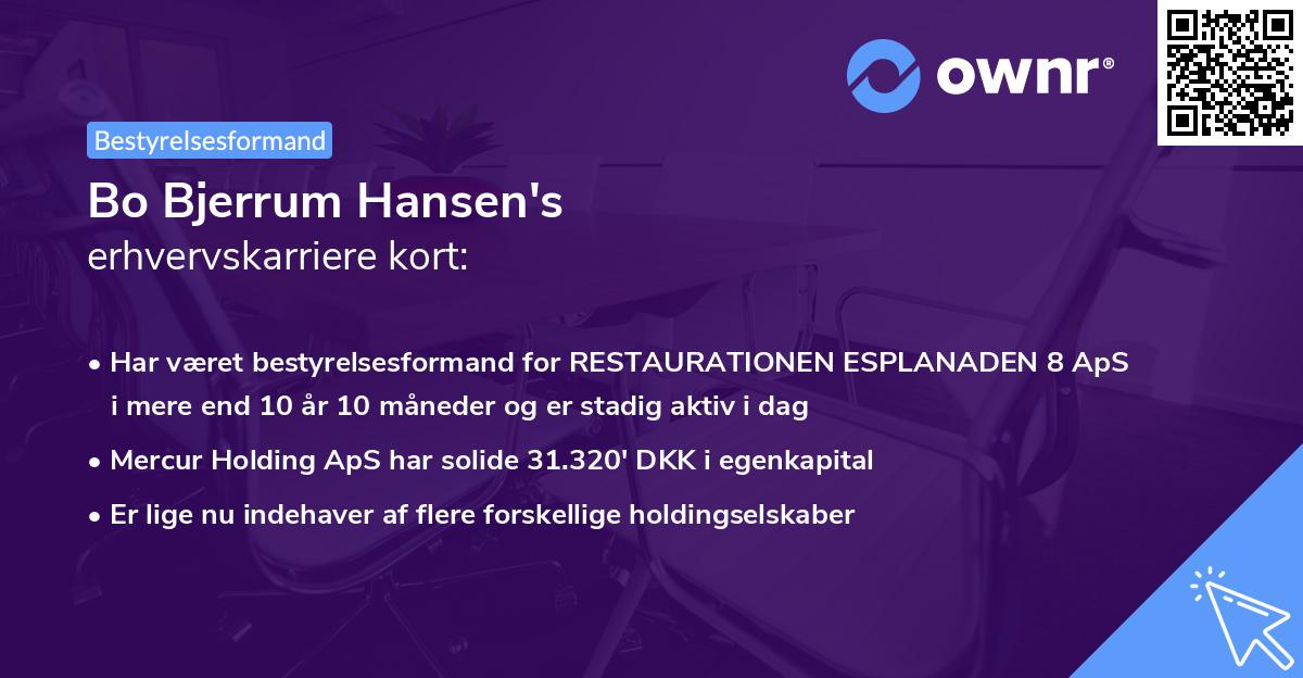 Bo Bjerrum Hansen's erhvervskarriere kort