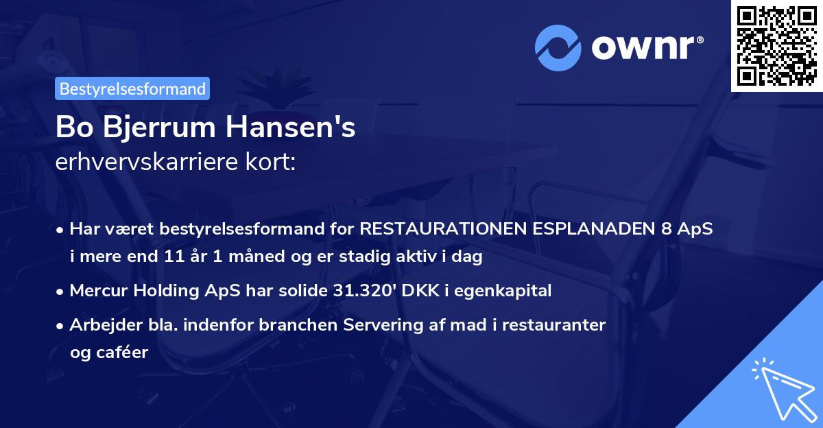 Bo Bjerrum Hansen's erhvervskarriere kort