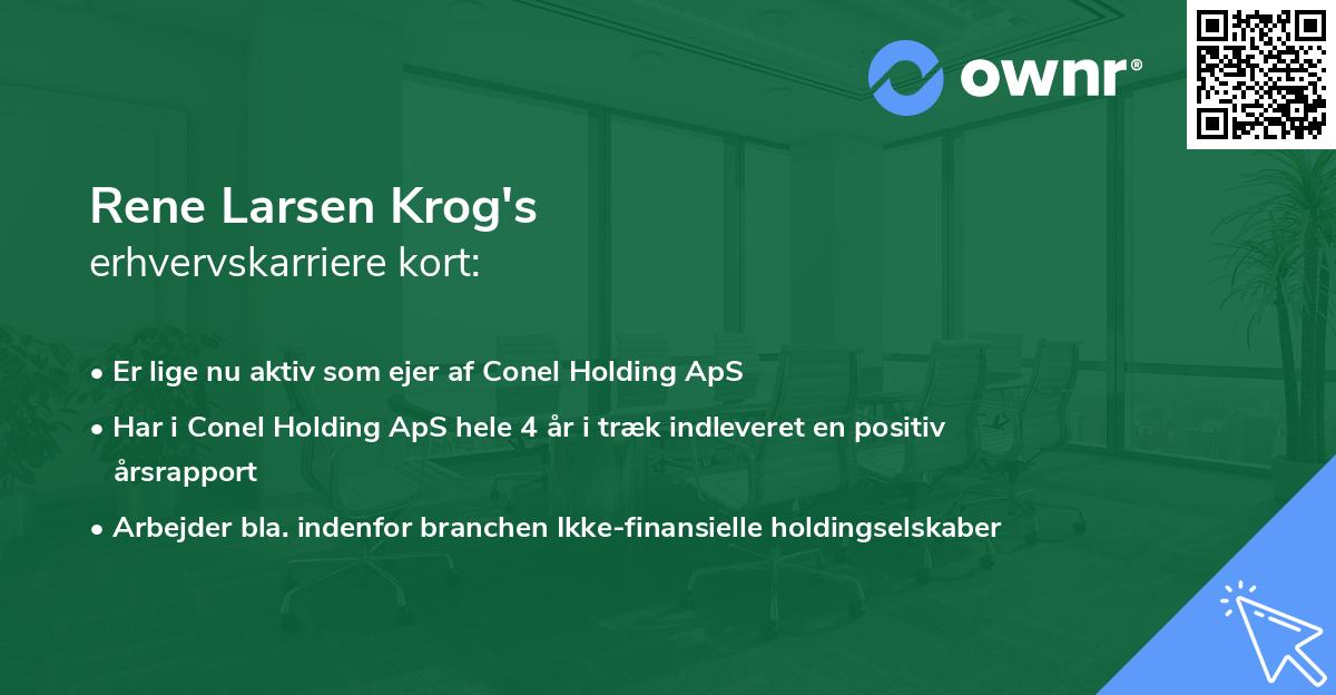 Rene Larsen Krog's erhvervskarriere kort