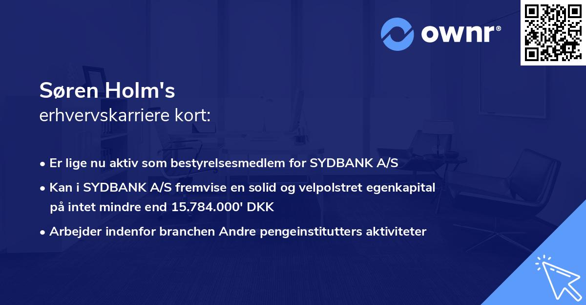 Søren Holm's erhvervskarriere kort