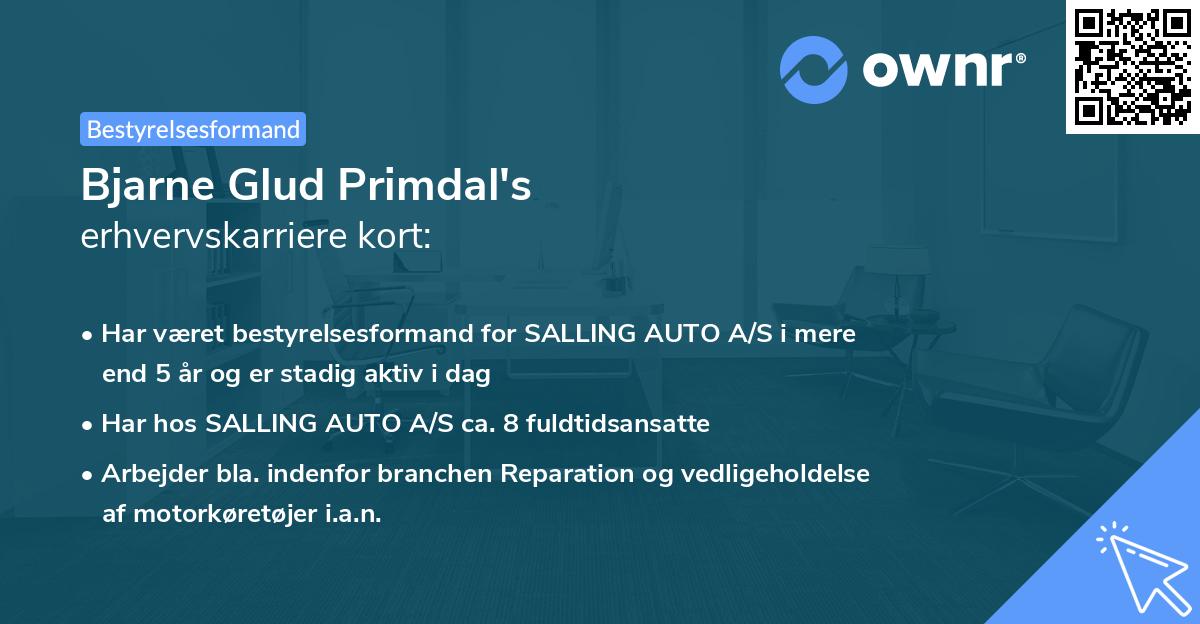 Bjarne Glud Primdal's erhvervskarriere kort