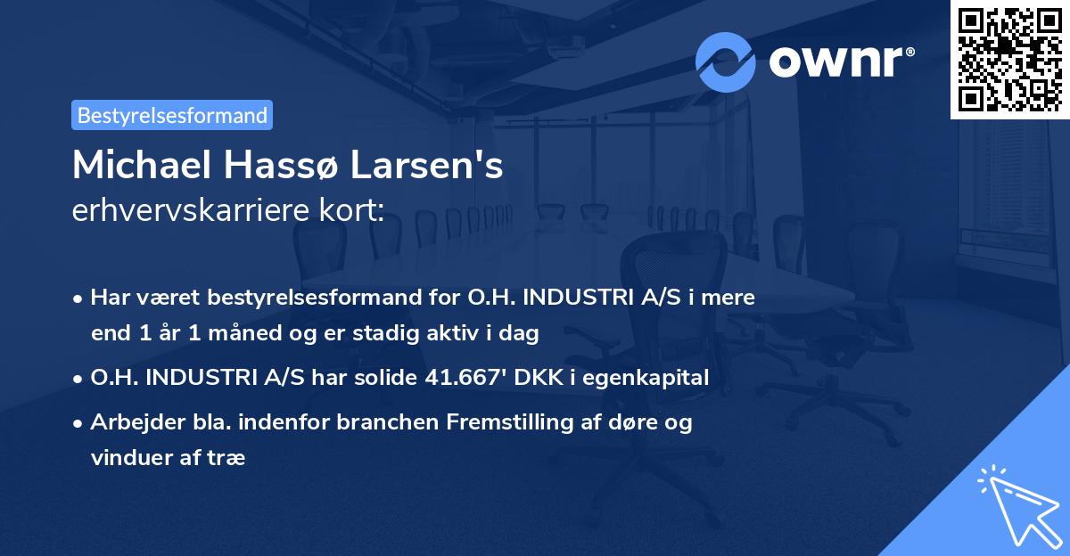 Michael Hassø Larsen's erhvervskarriere kort