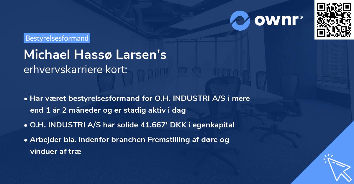 Michael Hassø Larsen's erhvervskarriere kort