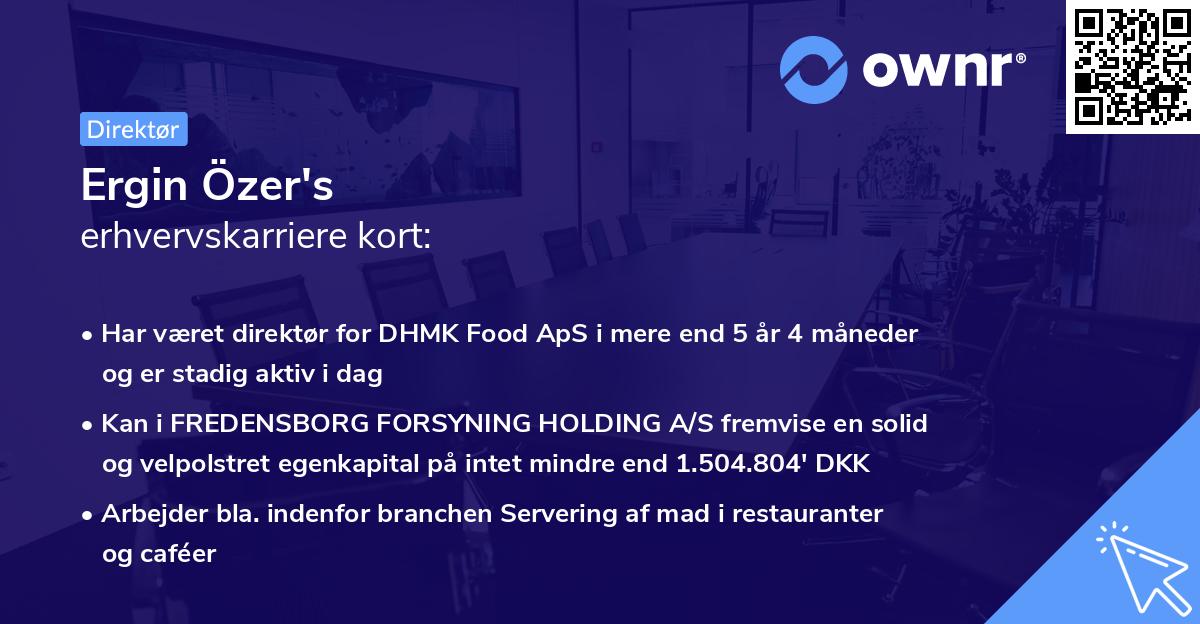 Ergin Özer's erhvervskarriere kort