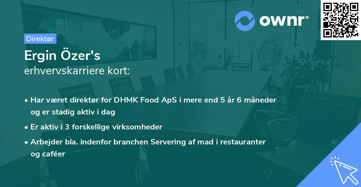 Ergin Özer's erhvervskarriere kort