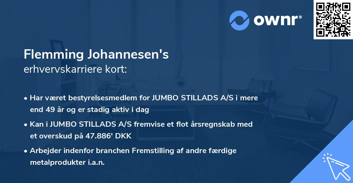 Flemming Johannesen's erhvervskarriere kort