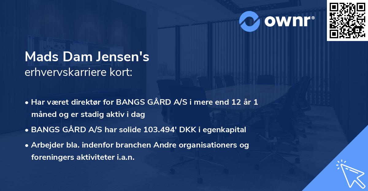 Mads Dam Jensen's erhvervskarriere kort