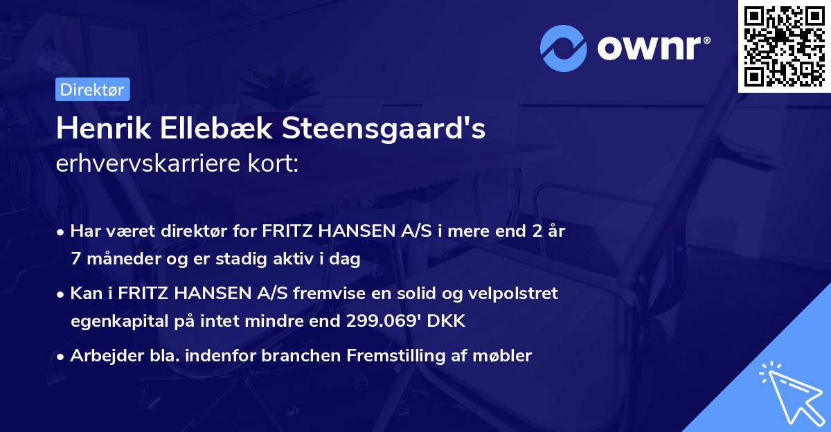 Henrik Ellebæk Steensgaard's erhvervskarriere kort
