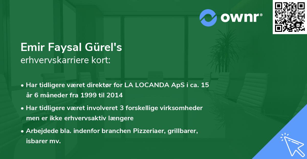 Emir Faysal Gürel's erhvervskarriere kort