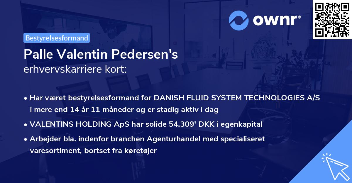 Palle Valentin Pedersen's erhvervskarriere kort