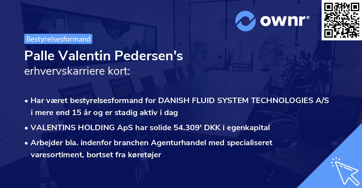 Palle Valentin Pedersen's erhvervskarriere kort