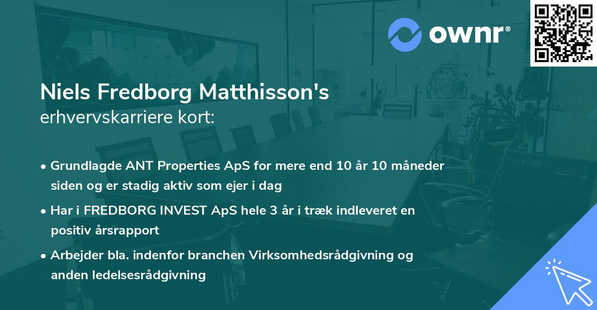 Niels Fredborg Matthisson's erhvervskarriere kort
