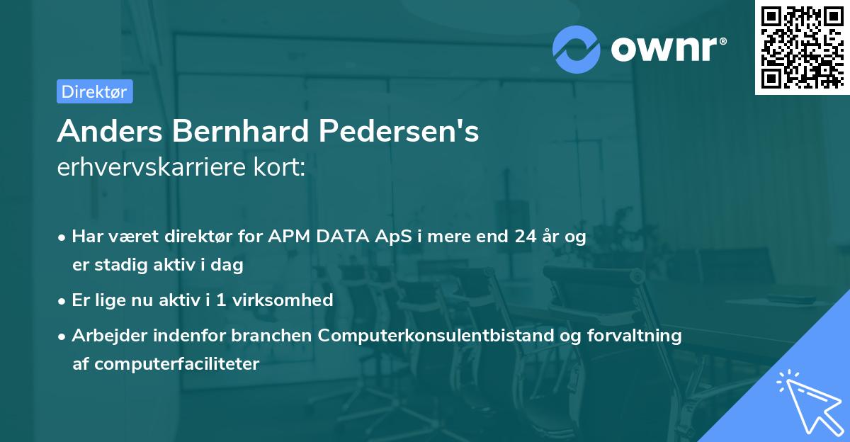 Anders Bernhard Pedersen's erhvervskarriere kort
