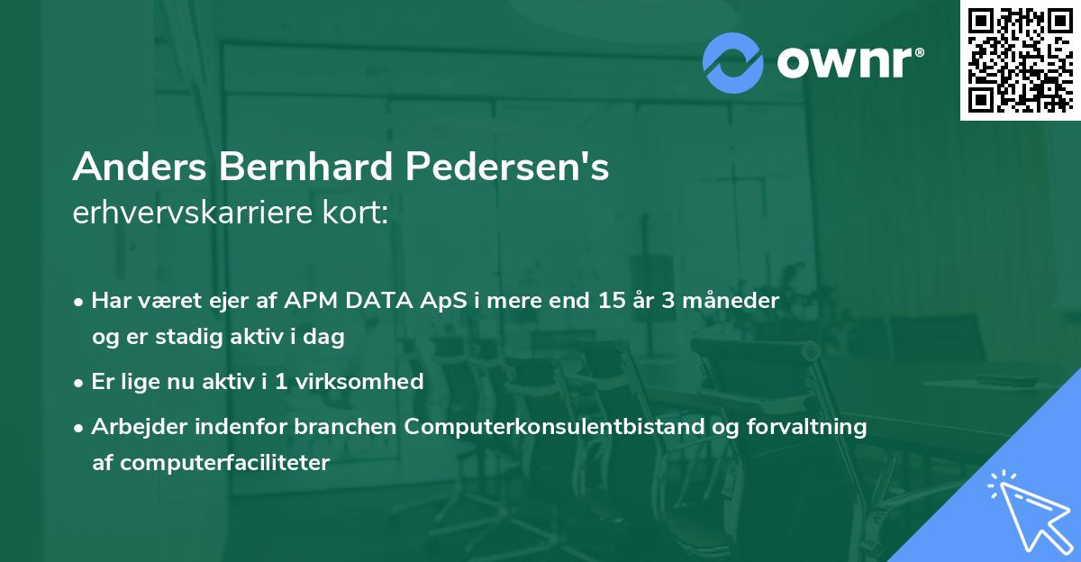 Anders Bernhard Pedersen's erhvervskarriere kort